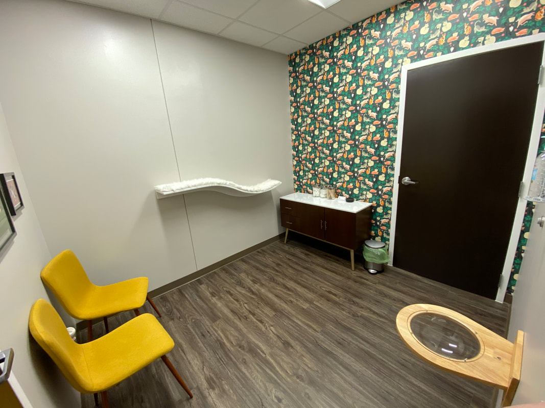 an exam room with nice chairs and fun cat wallpaper