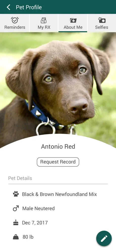 The Urban Tails mobile app on the pet profile screen a chocolate lab puppy