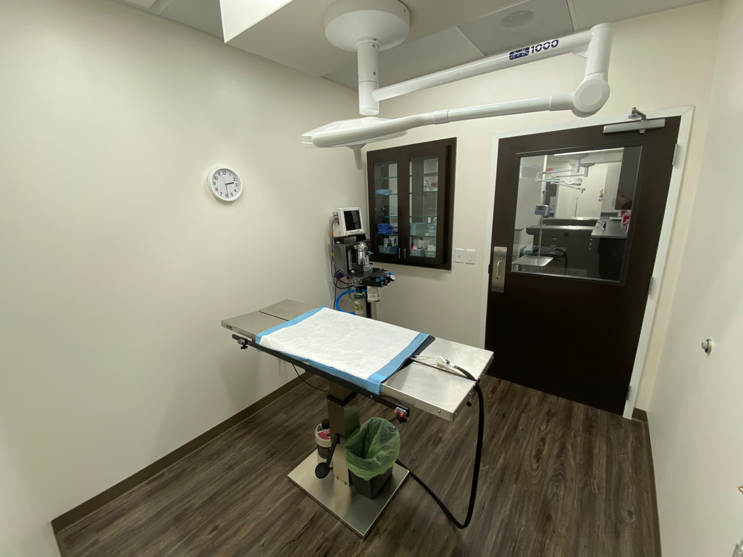 a room with a high-tech operating table and other equipment
