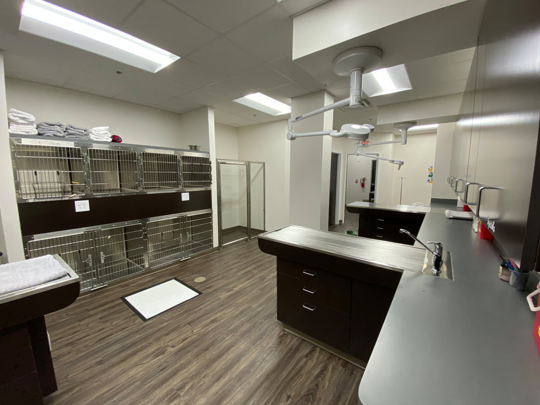 various treatment tables and pet kennels